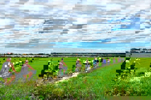 Hoi An Rice Fields Season Guide (2026): Best Time to Visit, Coffee Spots & Bike Tours image