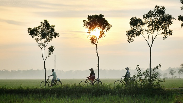 FUSE Hoi An Bicycle Tour image