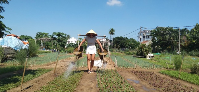 Lantern Making- Be a Real Farmer at Tra Que Village card image