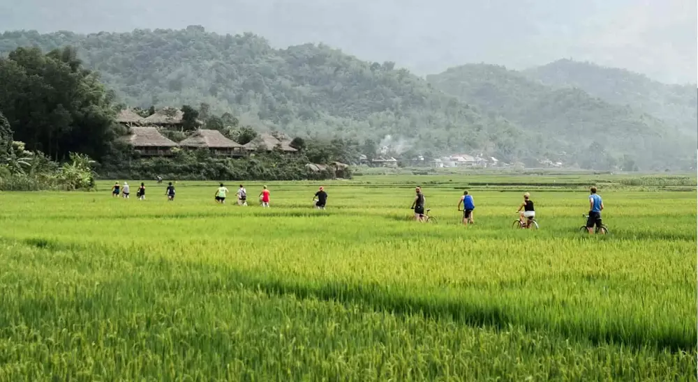 Mai Chau 2D1N